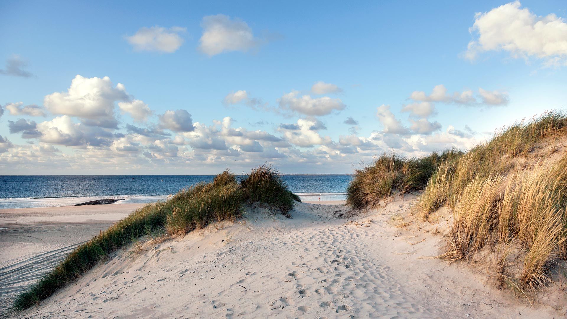 Wajer travel vlieland dunes