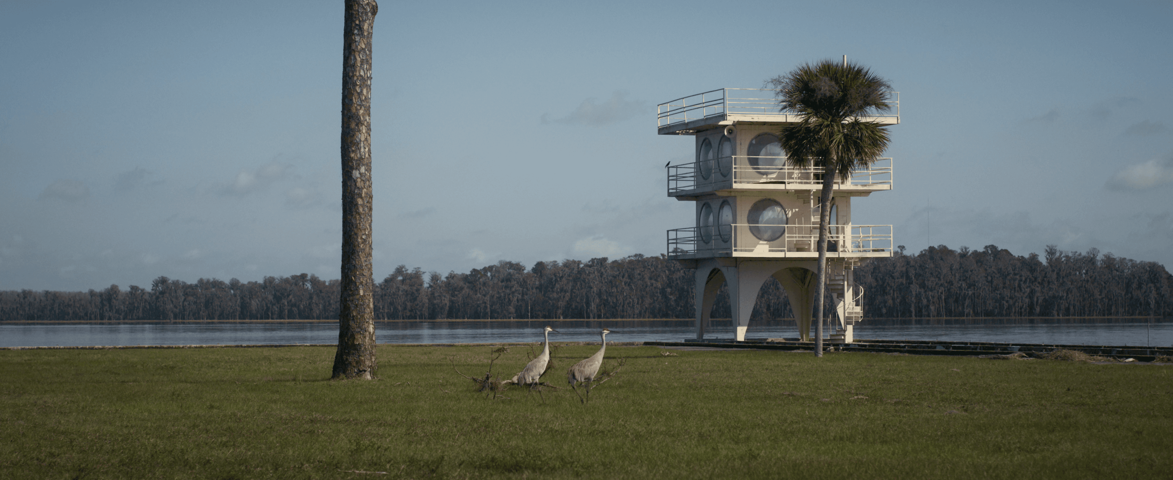 0321_wajer_38s_lakeX_online_def00_00_10_06Still003